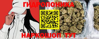 амф Старая Купавна